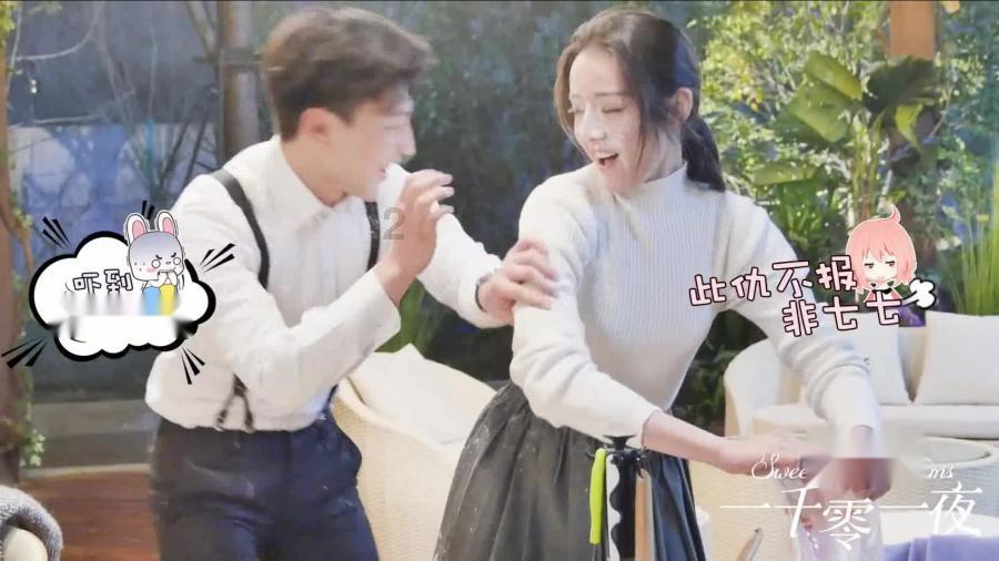可爱小猫向上跳